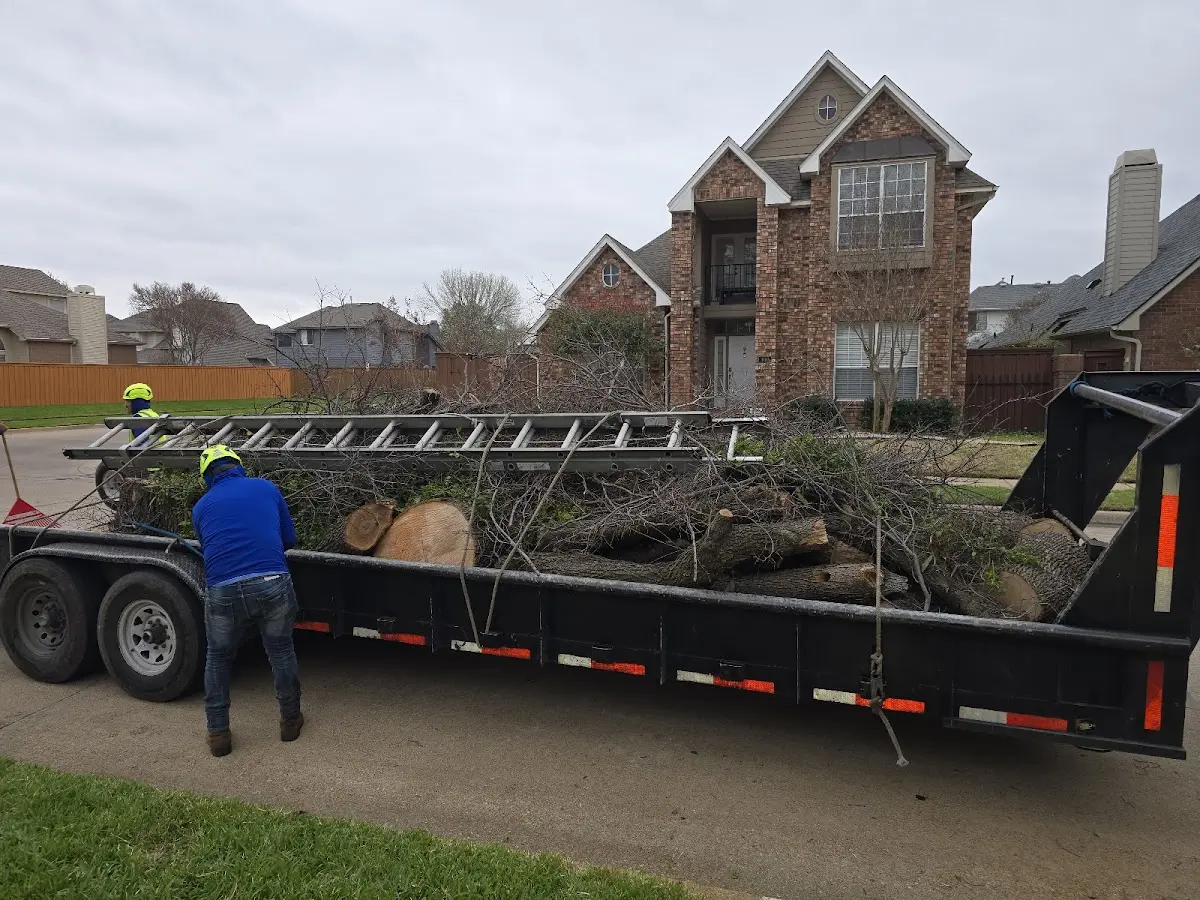 Expert Tree Removal with proper safety equipment in Richville